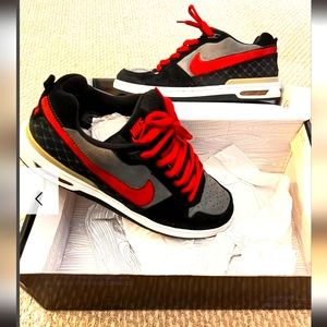 Nike Dunk SB Paul Rodriguez Air Zoom low